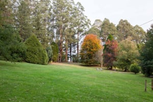 Group Accommodation, School Camp, Conference Facility