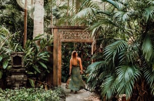 Award-Winning Noosa Wellness Destination + Freehold Property – Rare Business & Property Acquisition