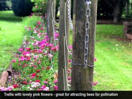 HERITAGE SEED BANK and OPEN GARDEN