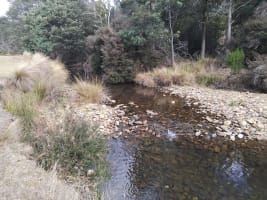 Rare Secluded Private Retreat Tyne River Alternative Life Style Self Sufficiency 5Star Home $850K