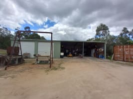 NATURES ENGINEERING WONDER PLANT