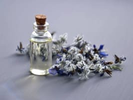 Manufacturing, Processing, Distribution Holdings.