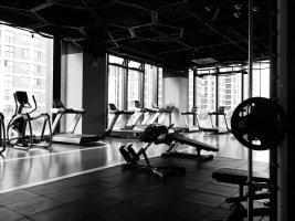 Established Gym for Sale - Waverley Area