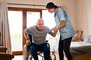 Well Established NDIS/Disability Registered and In Home Care Services Business #386
