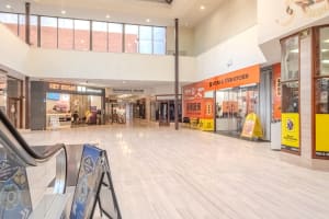 Opigohmfeoucq5o4q5tz