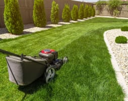 Property Maintenance & Landscaping Business - 5874
