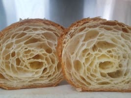 Oqgzuqmrdjes1g44hu1v