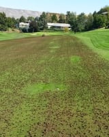 Highly Profitable Lawn Renovation & Sports Field Maintenance Business