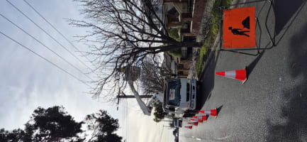 Vegetation Maintenance Municipal Contractor