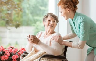 Gold Coast based Aged/Home Care, NDIS and Corporate/Business-to-Business Cleaning Service #444