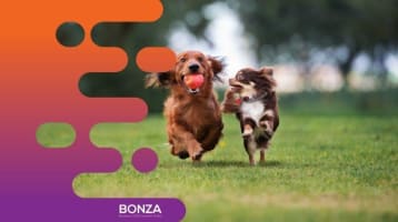 Oulg1ifwfdsfola35gvv