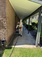 Pest Control - Termite Inspections / Management – Central Coast, NSW