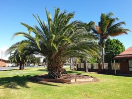 A WELL PRESENTED MOTEL BUSINESS READY FOR FURTHER GROWTH - 521ML