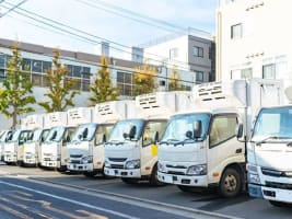 Transport & Courier Business in Coastal NSW