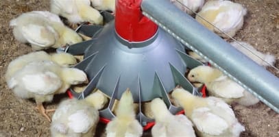 Thriving Agritech Business with Global Reach and Proven Success