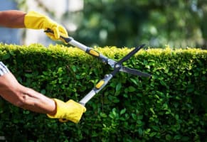 Oxlfijqhssd76u8y7tkv