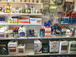 Thriving Business in the Golden Triangle