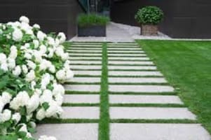 P1uvriy7alvlmbkcucpk