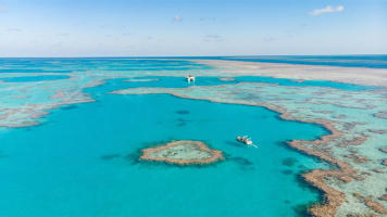 Well established Yacht Management business of 7+years