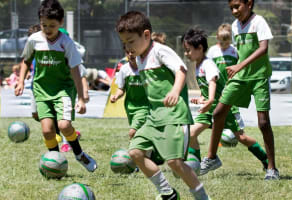 Grasshopper Soccer - Established Business