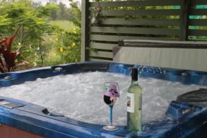 NATURES ENGINEERING WONDER PLANT