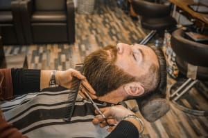 P9jalijudcmffkqmzdbh