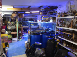 Pbdgce2bnwdcmsblo1wh