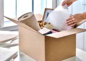 Established Freight, Logistics and  Packaging Business