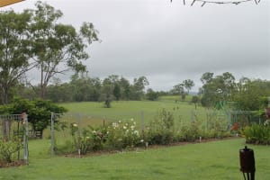 NATURES ENGINEERING WONDER PLANT