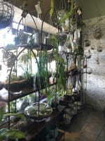 Much-Loved Florist and Giftware Business with 43 Years of Excellence