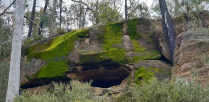 Dark Sky Hill - Turnkey Astro-Tourism Property with Geographical Monopoly