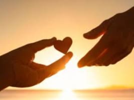 Premium Disability Support Business  Established, Profitable & Ready for Growth