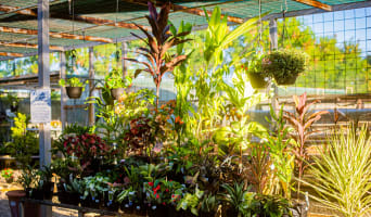 Katherine Mitre10 - highly profitable with multi million sales p.a.