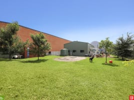 Canineology Centre | Established Doggy Day Care, Dog Grooming & Pet Transport Business - For Sale...