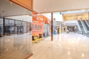 Ppap0wo4ggmnjcf3kllb