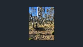 Thirty-Two Acres of Land With Winery & Caravan Park Permit