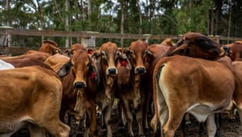 Agriculture, Recreation and Luxe Accommodation Development Opportunity