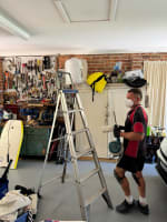 Pest Control - Termite Inspections / Management – Central Coast, NSW