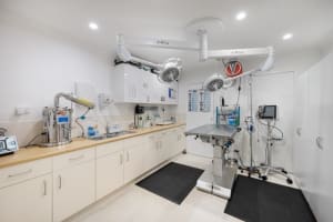 HIGHlands Veterinary Hospital –Southern Highlands NSW