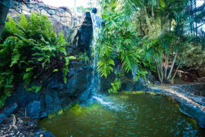 Lifestyle with Income - Airlie Beach - North Qld - Income Range 50 - 100k Plus