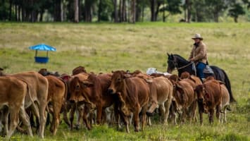 Agriculture, Recreation and Luxe Accommodation Development Opportunity