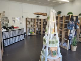 NOT YOUR ORDINARY HERB AND VITAMIN STORE