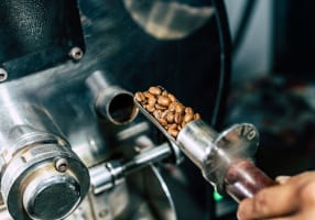 SOLD!Premium Brand, Wholesale Growth and Lifestyle Location!