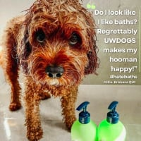 Pynnmdsbmvjygp04ctb9