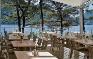 Waterfront Dining on the Yarra Business for Sale SV1579