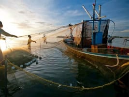 Profitable Commercial Fishing Business for Sale - NSW Coastal