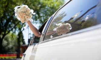 Q53hcddqdv6zpnfc12zf