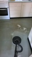 Established Carpet Cleaning Business with 37+ Year History | Loyal Client Base
