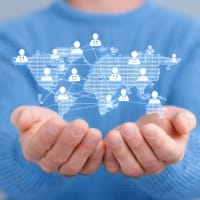 Price Reduced. Profitable Language Education Market Leader (REF: 1548H)