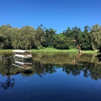 The closest Wet Tropics World Heritage river-based experience to Cairns